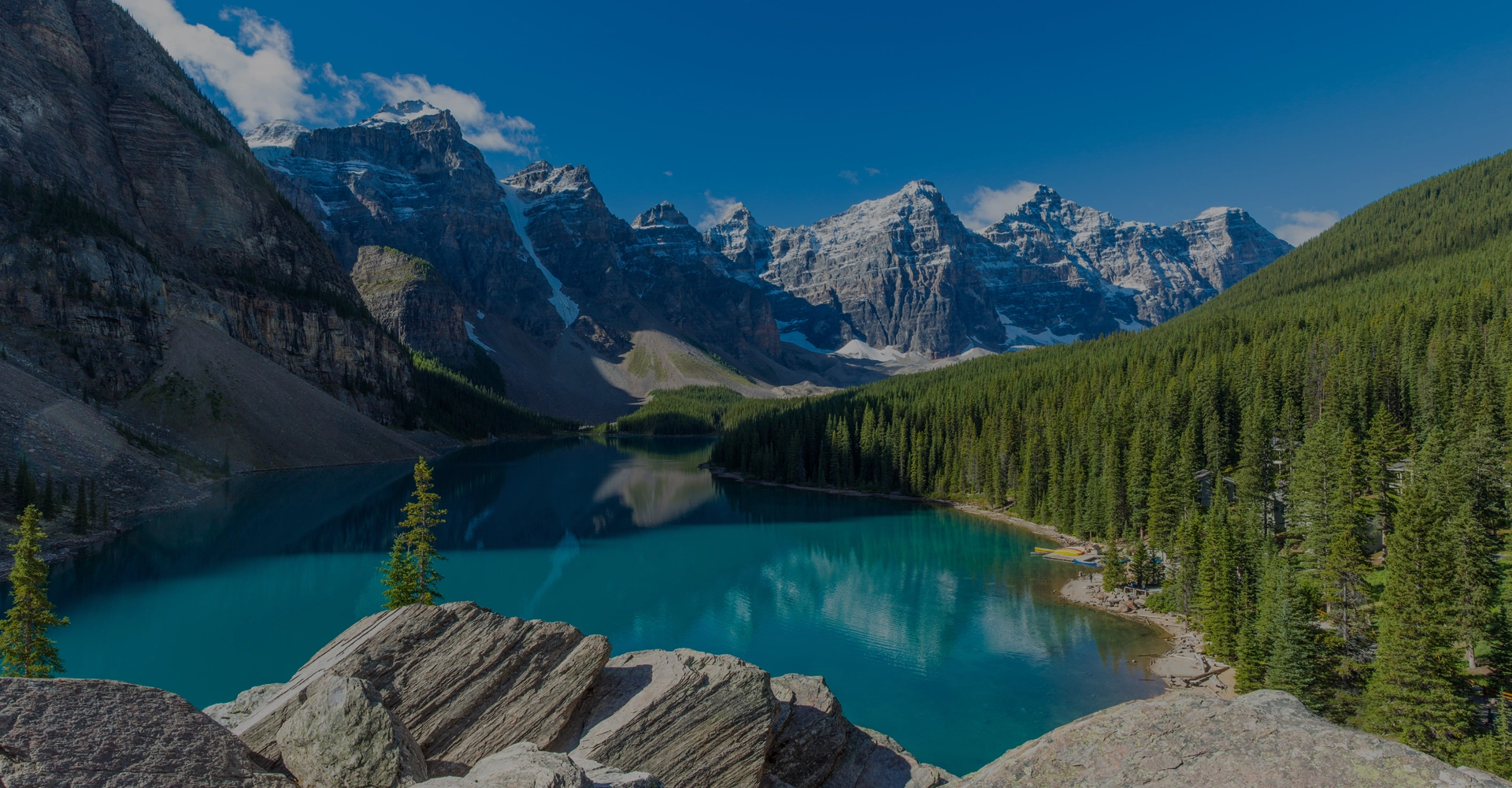 Dévoiler la majestueuse nature sauvage de l'Alberta, au Canada