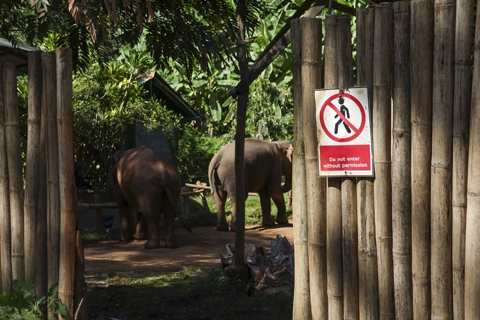 Wildlife safety rules